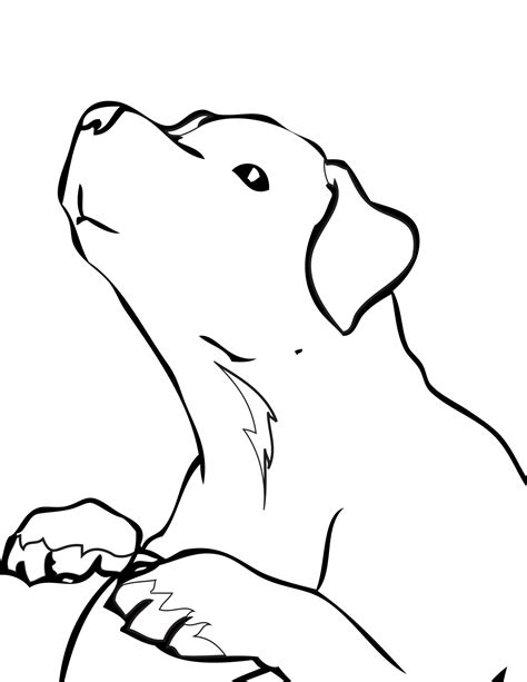 Labrador Dog Coloring Pages Getcolorings Com Black Lab Coloring Page - Black Lab Coloring Page