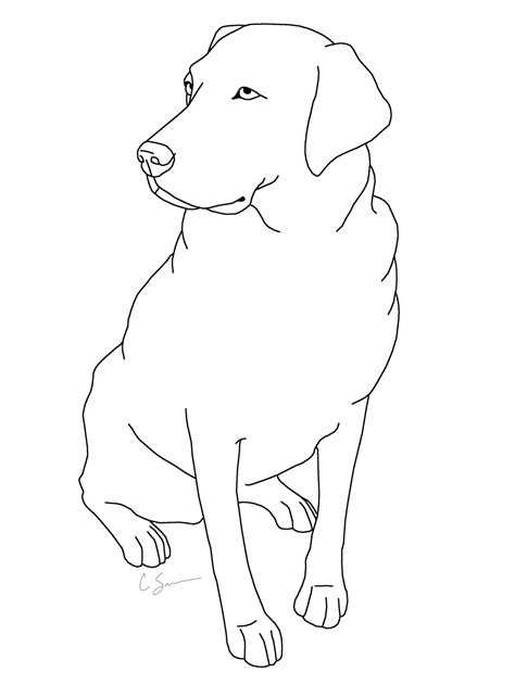 Labrador Retriever Coloring Page Getcolorings Com Labrador Retriever Coloring Pages - Labrador Retriever Coloring Pages