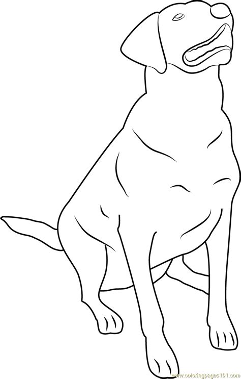 Labrador Retriever Coloring Pages Amp Coloring Book 6000 Labrador Retriever Coloring Page - Labrador Retriever Coloring Page