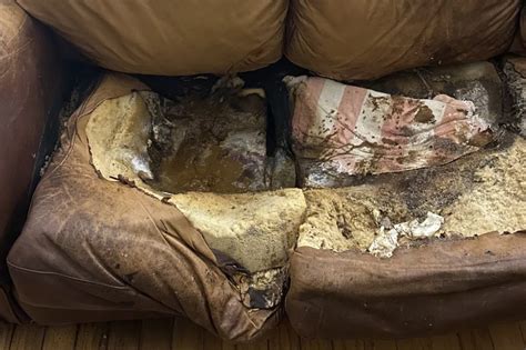 Lacey Fletcher Couch