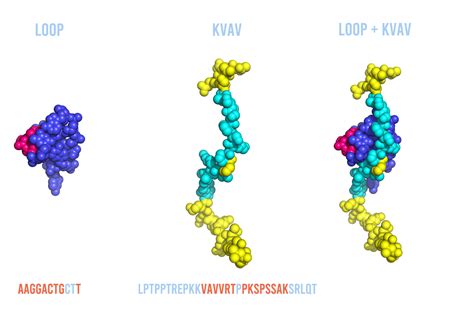lackforsegling linkoping
