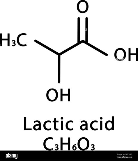 lactic acid 뜻