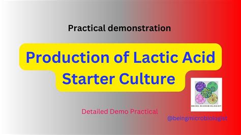 Lactic Acid Bacteria Fermentation Starter Culture Development Harnessing The Fermentation Potential Of Lactic Acid Bacteria