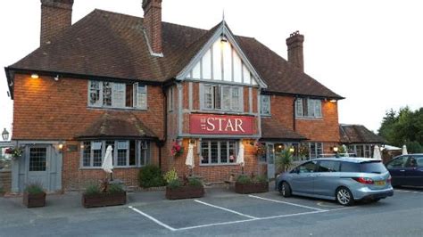 ladies night - Review of The Star, Lingfield, England