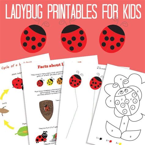 Ladybug Printables For Kids Itsy Bitsy Fun Ladybug Worksheets For Preschool - Ladybug Worksheets For Preschool