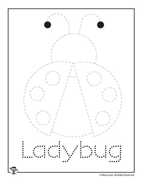 Ladybug Worksheets For Preschool   Free Printable Ladybug Life Cycle Worksheets For Kids - Ladybug Worksheets For Preschool