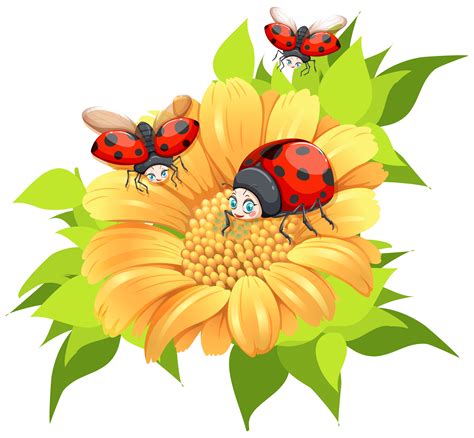 Ladybugs On Flowers Clipart