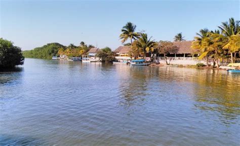 Laguna De Mandinga