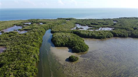Laguna De Terminos