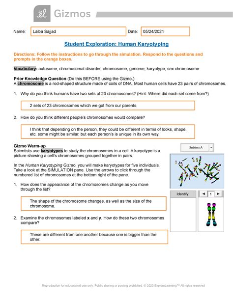 Laiba Sajjad Human Karyotyping Gizmo Name Laiba Sajjad Biology Karyotype Worksheet Answers Key - Biology Karyotype Worksheet Answers Key