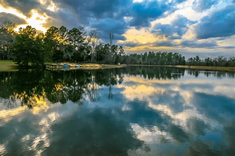 lake fork texas