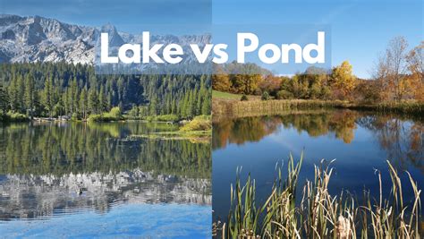 Lake Vs Pond
