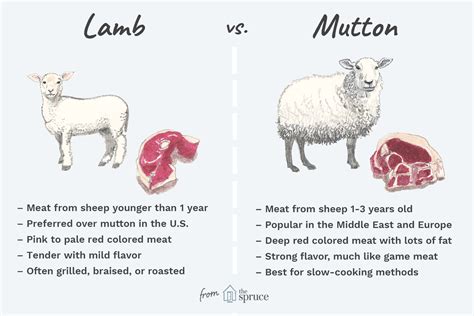 Lamb And Mutton
