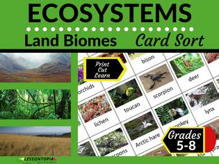 Land Biomes Ecosystems Card Sort Teaching Resources Land Biome Worksheet - Land Biome Worksheet