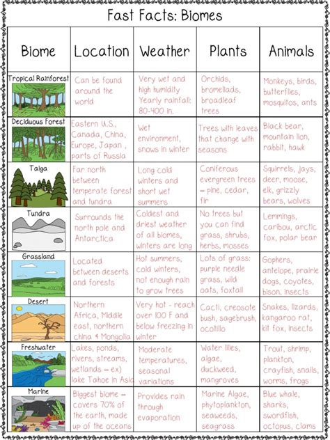 Land Biomes Worksheet   Land Biomes Ecosystems Card Sort Teaching Resources - Land Biomes Worksheet
