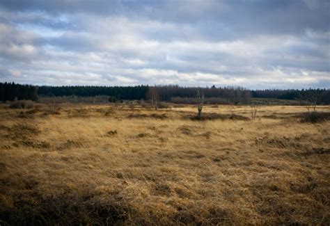 Land Cuth Image
