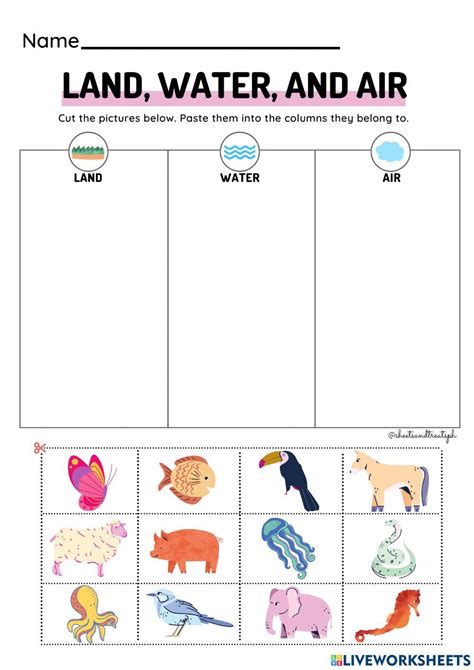 Land Water And Air Animals Grade 2 Lesson Air Lesson For Grade 2 - Air Lesson For Grade 2