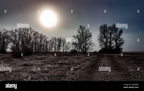 Landscape Of Terror In Between Hope And Memory