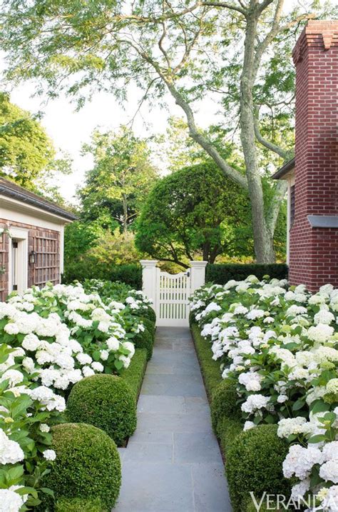 landscaping with boxwoods and hydrangeas