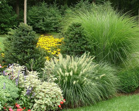 Landscaping With Evergreens And Grasses