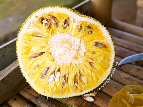 langka | Langka resepi enak mudah Cookpad