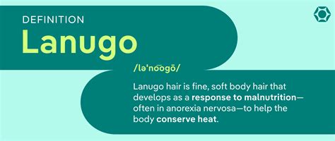 Lanugo Anorexia