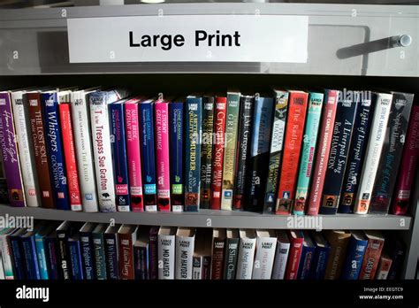 Large Print Books