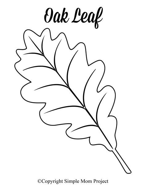 Large Printable Leaf Patterns