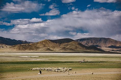 Largest Plateau