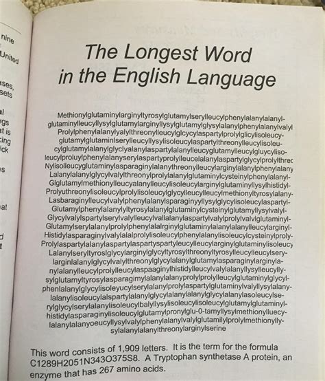 Largest Word In The Dictionary