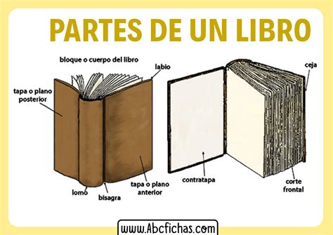 Las Partes Del Libro