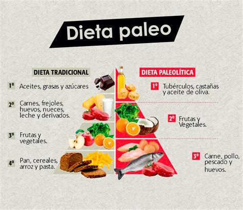 Full Download Las Recetas De La Dieta Paleolitica 