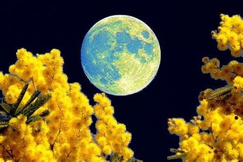 Full Download Lastrofisica Facile 