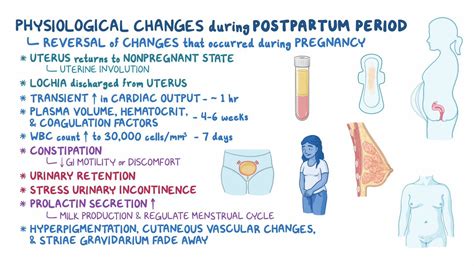latar belakang post partum normal