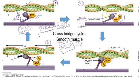 Latch Bridge Mechanism