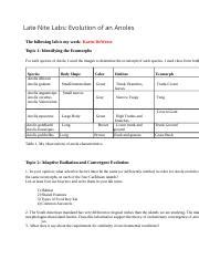 Late Nite Labs Evolution Answer Key