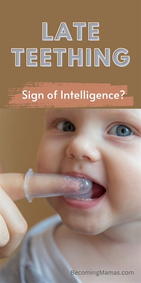 Late Teething Sign Of Intelligence