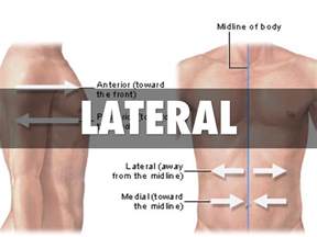 lateral 뜻
