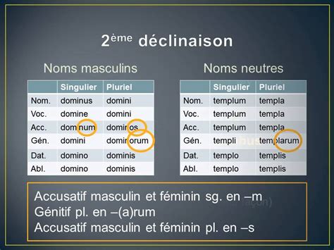 latin classe de 3e 2e livre