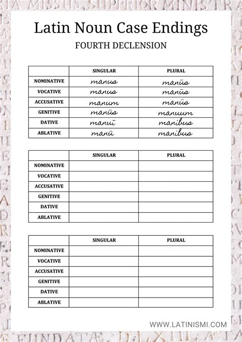 Latin Worksheets Based On Starting Out In Latin Latin Root Word Worksheet - Latin Root Word Worksheet