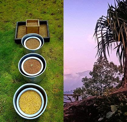 Instagram post by Leatha McDermott #3