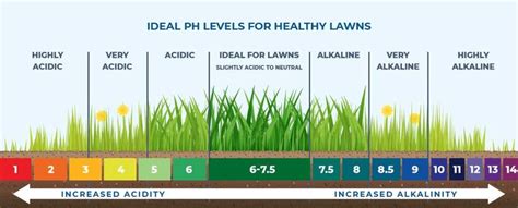 Lawn Ph Level Chart