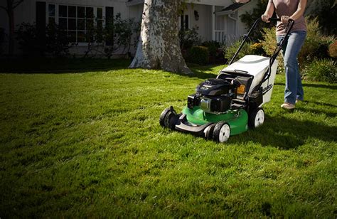 Read Online Lawn Boy 