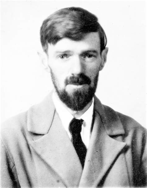 Lawrence D H