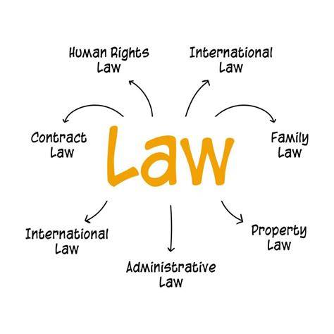 laws of mind system