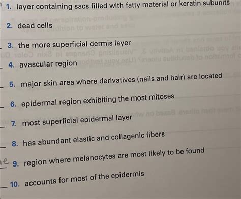 Layer Containing Sacs Filled With Fatty Material Or Keratin Subunits