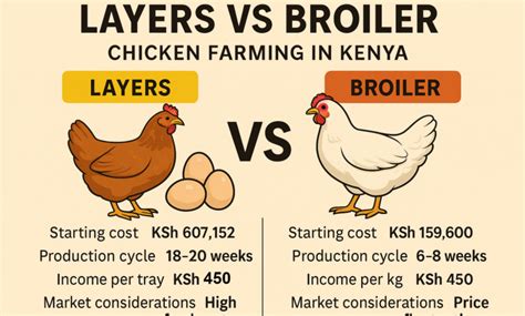 Layers And Broiler