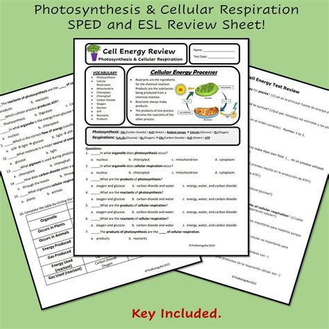 Read Online Laying The Foundation Test Biology Cell Energy 