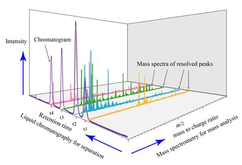 Lc Ms Ms Data Analysis