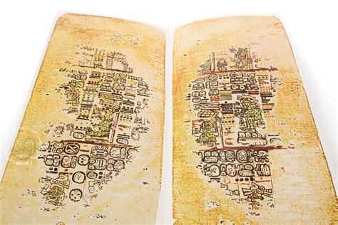 Le Codex De Paris Paris Des Limbes T 1